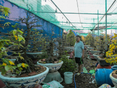 Ảnh bìa bài viết 729935