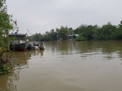 Ảnh bìa bài viết 730172