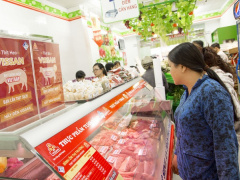 Ảnh bìa bài viết 730554