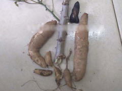 Ảnh bìa bài viết 731032