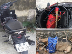 Ảnh bìa bài viết 731333