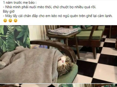 Ảnh bìa bài viết 731441
