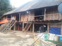 Ảnh bìa bài viết 731499