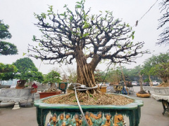 Ảnh bìa bài viết 731976
