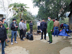 Ảnh bìa bài viết 731733