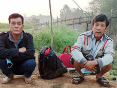 Ảnh bìa bài viết 731755