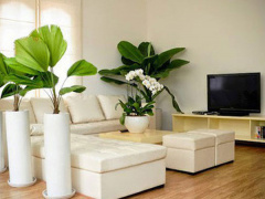 Ảnh bìa bài viết 731722