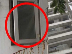 Ảnh bìa bài viết 731958