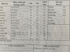 Ảnh bìa bài viết 732045