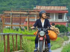 Ảnh bìa bài viết 732101