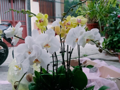 Ảnh bìa bài viết 732031