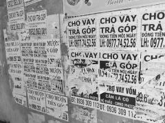 Ảnh bìa bài viết 732027