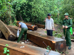 Ảnh bìa bài viết 732293