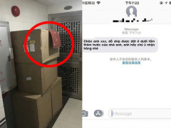 Ảnh bìa bài viết 732238