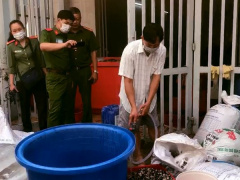 Ảnh bìa bài viết 732674