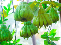 Ảnh bìa bài viết 732565