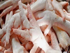 Ảnh bìa bài viết 732888