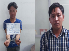Ảnh bìa bài viết 732904