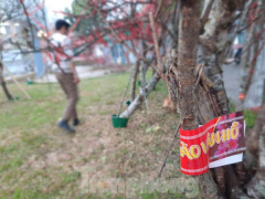 Ảnh bìa bài viết 732817