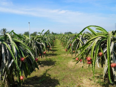 Ảnh bìa bài viết 733047