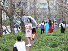 Ảnh bìa bài viết 733157