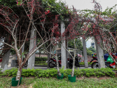 Ảnh bìa bài viết 733435