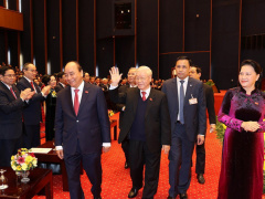 Ảnh bìa bài viết 733417