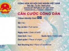 Ảnh bìa bài viết 733803