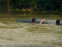 Ảnh bìa bài viết 733726