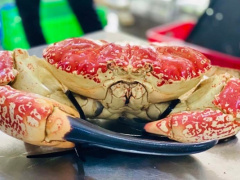 Ảnh bìa bài viết 733833