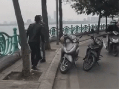 Ảnh bìa bài viết 733989