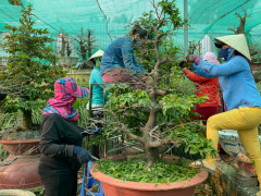 Ảnh bìa bài viết 733846