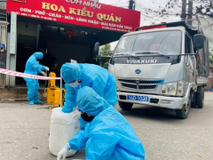 Ảnh bìa bài viết 734230