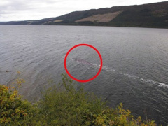 Ảnh bìa bài viết 734259