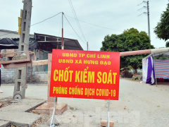 Ảnh bìa bài viết 734229