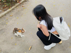 Ảnh bìa bài viết 734271