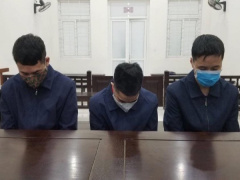 Ảnh bìa bài viết 734114