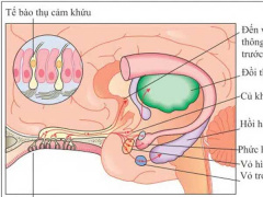 Ảnh bìa bài viết 734399