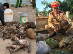 Ảnh bìa bài viết 734692