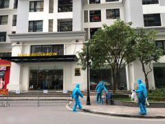 Ảnh bìa bài viết 735187