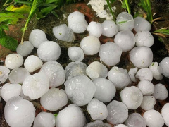 Ảnh bìa bài viết 735104