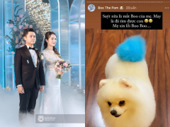 Ảnh bìa bài viết 735121