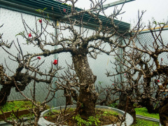 Ảnh bìa bài viết 735382