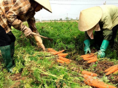 Ảnh bìa bài viết 735358