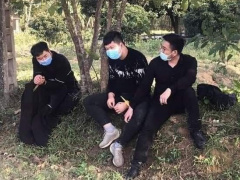 Ảnh bìa bài viết 735553