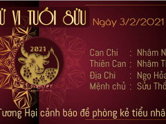 Ảnh bìa bài viết 735498