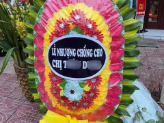 Ảnh bìa bài viết 735782