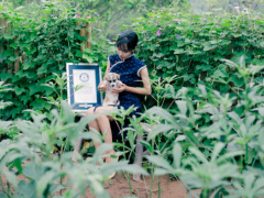 Ảnh bìa bài viết 735893
