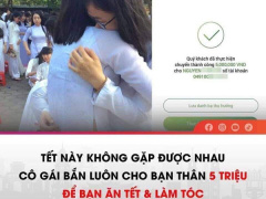 Ảnh bìa bài viết 735858