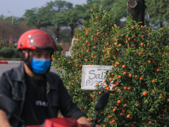 Ảnh bìa bài viết 736213